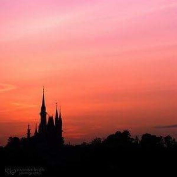 Meet your Posher, Stacie - Picture 1 of 1